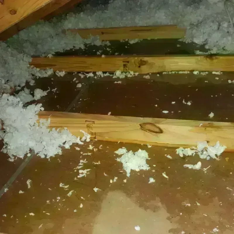 Attic Water Damage in Andover, NY