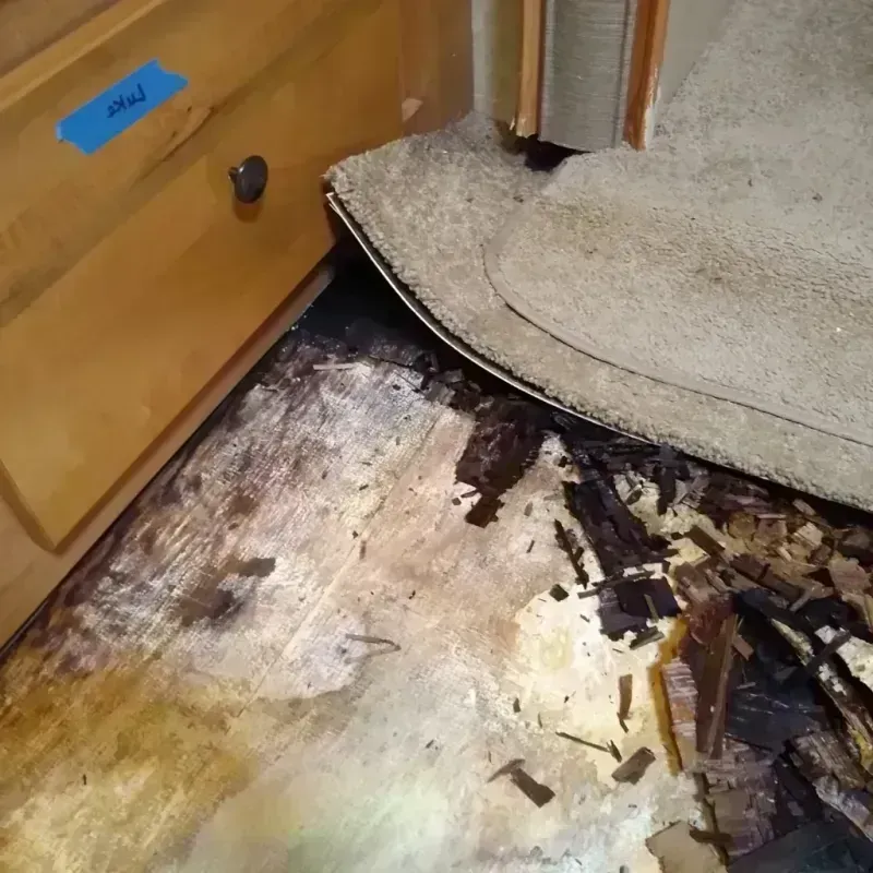 Best Wood Floor Water Damage Service in Andover, NY